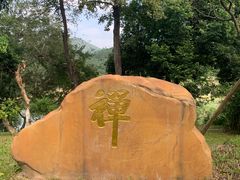 -国恩寺