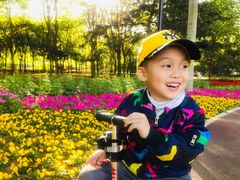 -朝阳公园游乐园