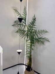 -四七美学·半永久纹眉