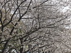 -昆山城市公园