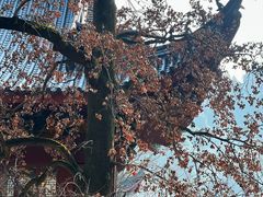 -灵顺寺