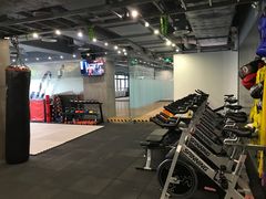 -健身专家Wellness Experts