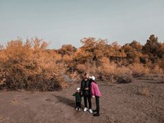 -金塔沙漠胡杨林景区