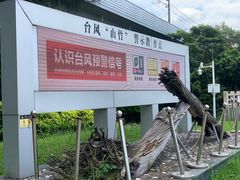 -宝安西湾红树林湿地公园