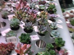 -KKV(深圳宏发大仟里店)