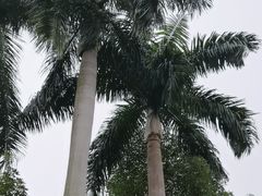 -广州市白云山风景名胜区
