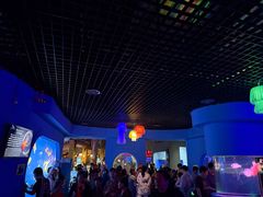 -太平洋海底世界