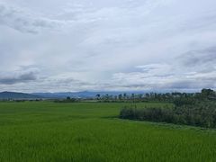 -才村湿地公园
