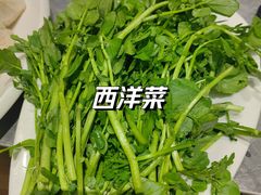 -张凯达·深海石斑鱼潮汕火锅(十五年品牌•虹桥天街店)