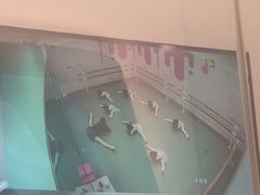 -上海世纪汇广场