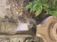 -小天厨民间菜馆(深圳街店)