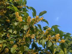 -白塘生态植物园