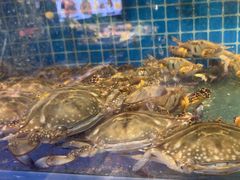 -77号渔船·蒸海鲜青岛菜(积米崖店)