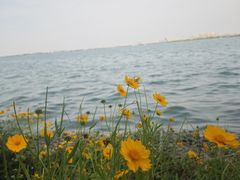 -阳澄湖半岛旅游度假区