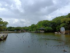 -江心屿景区