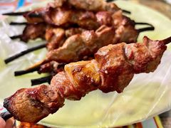 -艾力江和田馕坑烤肉店