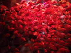 -波塞冬旅游度假区