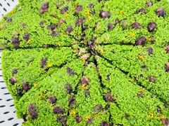 -蟹天蟹地农家菜·阳澄湖大闸蟹(浅水湾店)