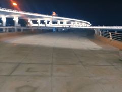 -演武大桥观景平台