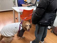 -北京观赏动物医院·24小时大型综合·猫专科·异宠专科