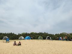 -日照海滨国家森林公园