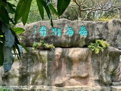 -深圳国际园林花卉博览园