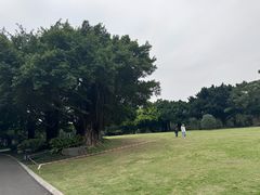 -南宁南湖公园