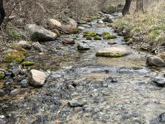 -玉渡山自然风景区