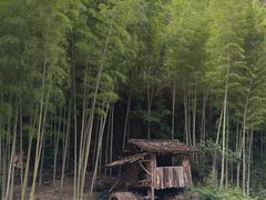 -林坑古村落