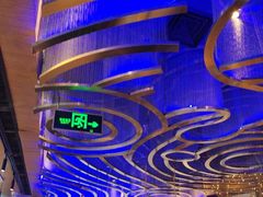 -老板恋上鱼(恒隆广场店)