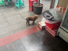 -沉香牛肉面