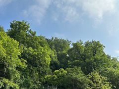 -终南山南五台景区