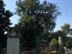 -国恩寺