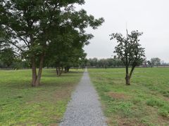 -汉长安城未央宫国家考古遗址公园