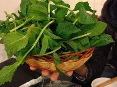 薄荷叶-草墩罗非鱼庄•野生菌•腊排骨(七星街上段店)