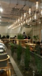 -悦诗风吟innisfree
