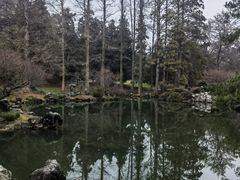 -杭州植物园