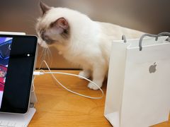 -Apple零售店(成都太古里店)