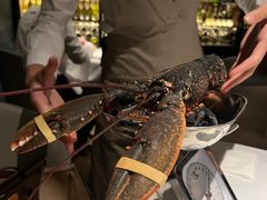 -Oyster Talks 四度蚝法餐厅