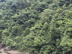 -安吉龙王山峡谷漂流