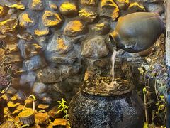 -尽善百年古院餐厅(王家老宅店)