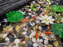 -芳朵美容养生SPA