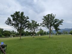 -长田漾湿地公园