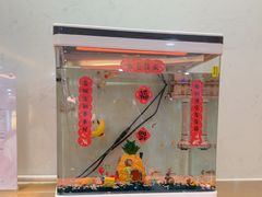 -海底捞大排档火锅(悦荟广场店)