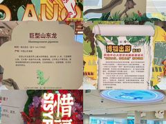 -鹏欣水游城