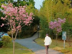 -福建鲤鱼洲酒店