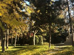 -法门文化景区