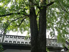 -蒋氏故居