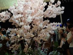 -武汉两江游览·夜游长江(汉口粤汉码头)