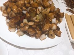 -金蝉食府(维吉奥广场店)